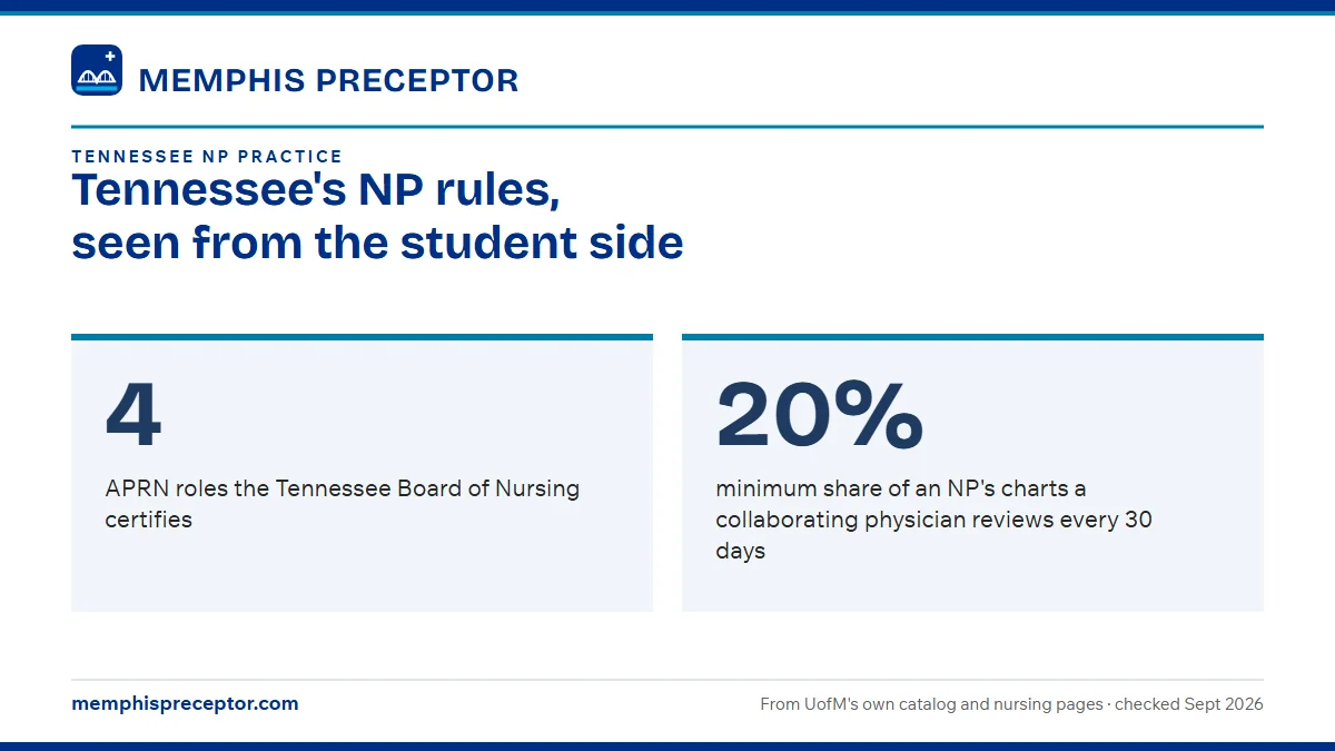 Tennessee's NP rules, seen from the student side. 4: APRN roles the Tennessee Board of Nursing certifies; 20%: minimum share of an NP's charts a collaborating physician reviews every 30 days.